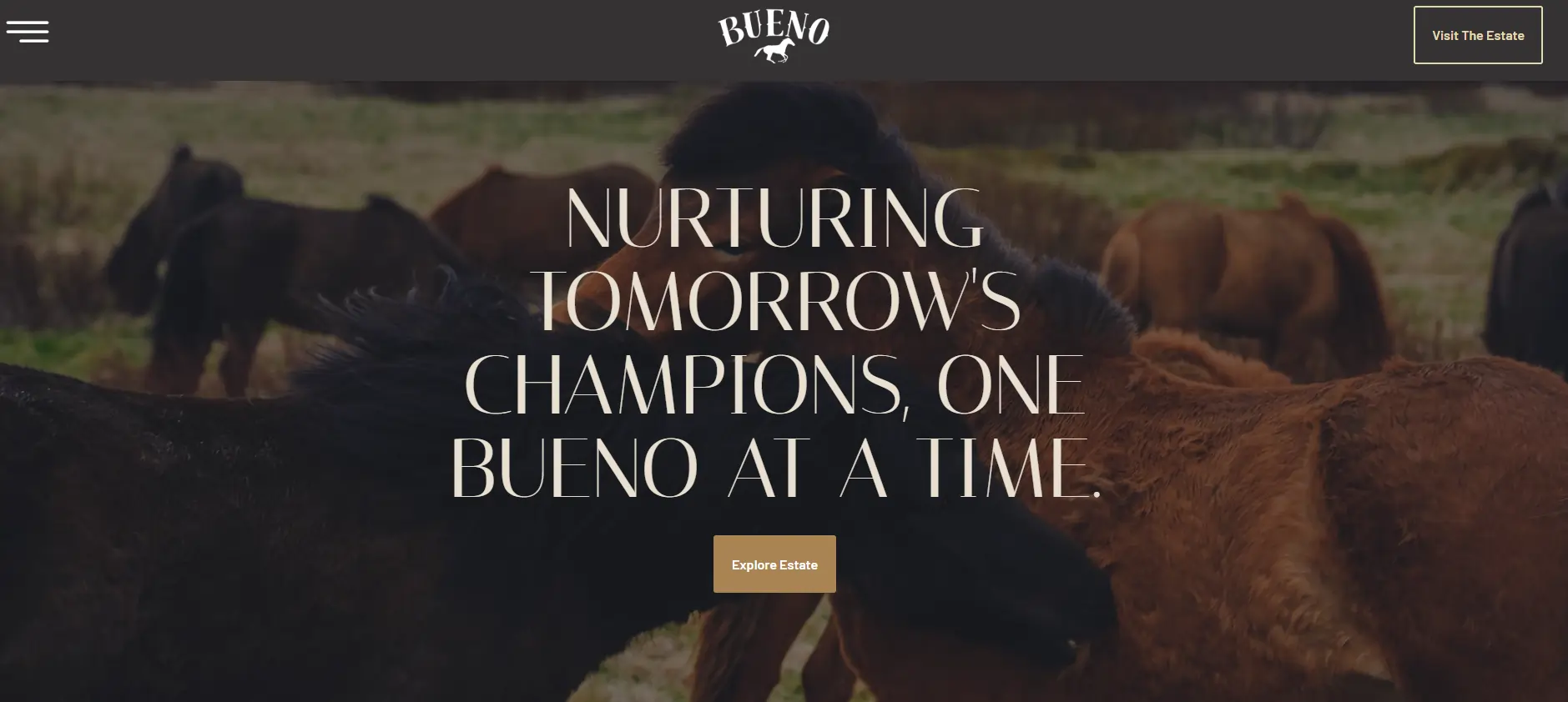 Stunning, custom website design for an equestrian estate or luxury ranch property.